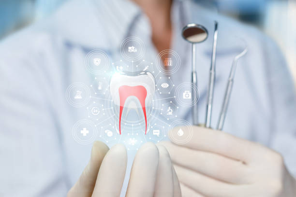  Pioche, NV Holistic Dental Services Pros